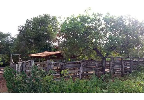 Fazenda