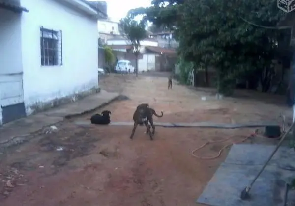 Lote de 4.300 metros com casa