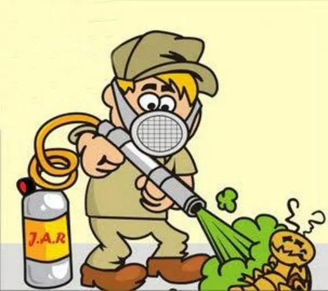 dedetização e desinsetização