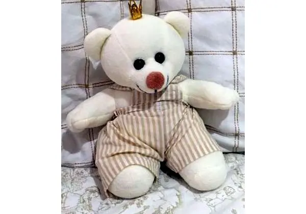 Urso para nicho tamanho P