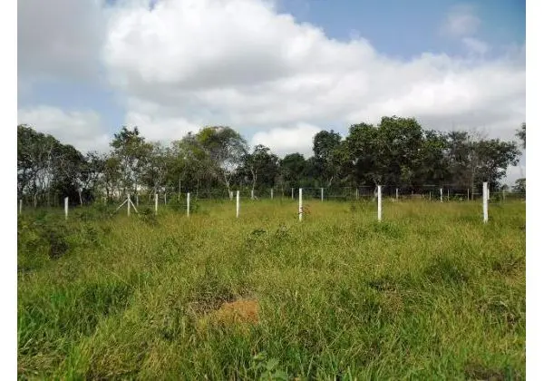 2 lotes, Rua 95, Q 78, Bairro Paraíso em Mateus Leme MG, 300m2 cada
