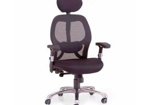 Cadeira De Escritório Ergonômica New Ergon Presidente