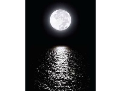 A lua cheia que clareia o velho mar aqui na frente de casa