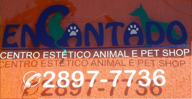 encantado pet shop centro estético e animal