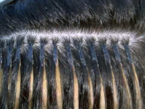 implante de cabelo cola queratina