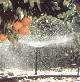 Irrigação de jardins