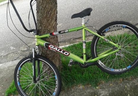 Bicicleta Gallo Pro D original Verde 21v Aro 26