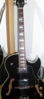 Guitarra semi acustica hofma aceito t.r.o.c.a