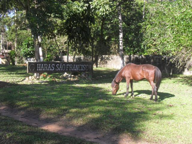 Hospedagem para cavalos em Peruibe