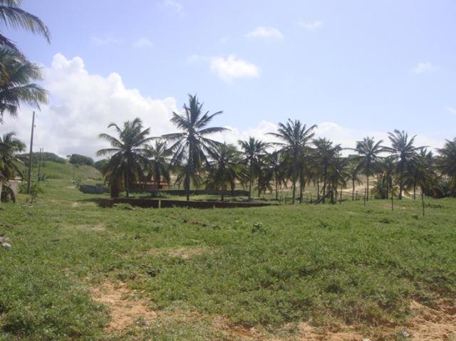 Terreno na Praia de Caraúbas