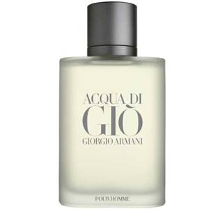 Perfumes importados Acqua di Giô Masculino 30ml