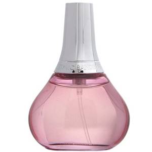 Perfumes importados Perfume Spirit Feminino 50ml
