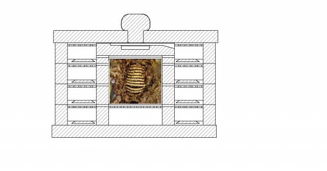 Projeto caixa de abelha nativa