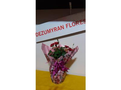 FloreArt Dezumira - Flores Buques Arranjos Naturais e outros