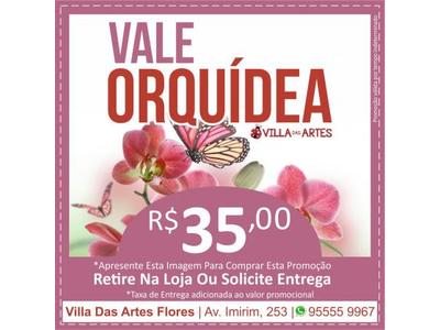 Orquídeas em Promoção - Villa das Artes Flores