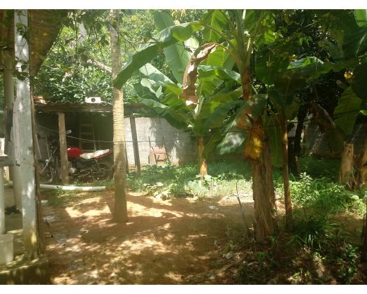 Casa em Tinguá com 2 quartos para locação, em Nova Iguaçu
