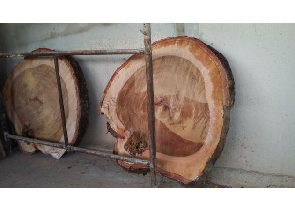 Bolachão de madeira maciça - Outros