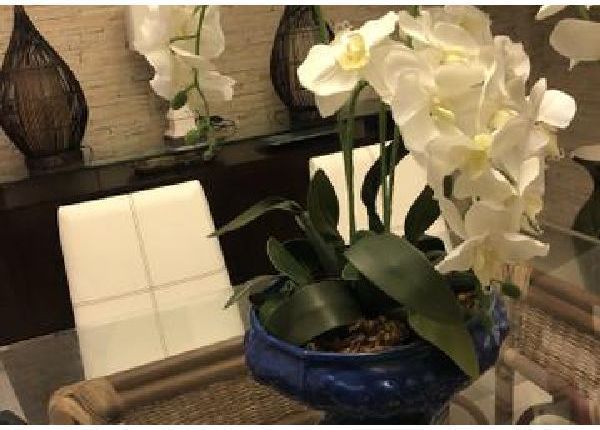 Arranjo com orquídea . Espetacular - Objetos de decoração