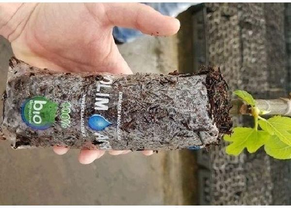 Saco biodegradável Para Mudas - Materiais de construção e jardim