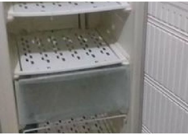 Vendo freezer vestical - Geladeiras e freezers
