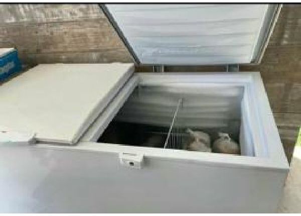 2 freezer eletrolux parcelo entrego - Geladeiras e freezers