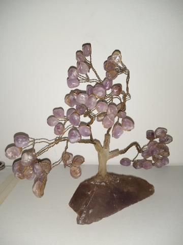 Árvores bonsai - Objetos de decoração