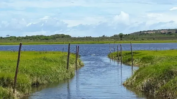 6 Lotes de 480m em Fazenda Clube na Beira do Lago Santa Helena
