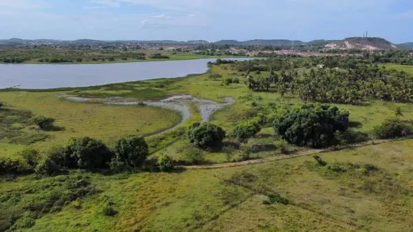 6 Unidades De Terreno 480 m em Fazenda Clube em Dias Davila