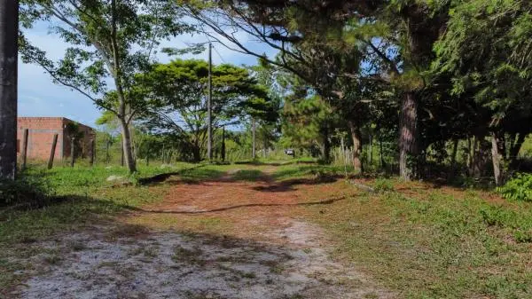 6 Unidades De Terreno 480 m em Fazenda Clube em Dias Davila