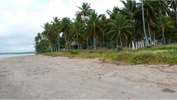 O MELHOR LUGAR DO MUNDO É AQUI E AGORA.