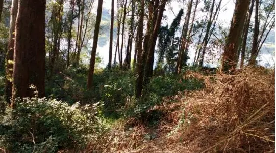 Terreno 520m2 Represa Guarapiranga