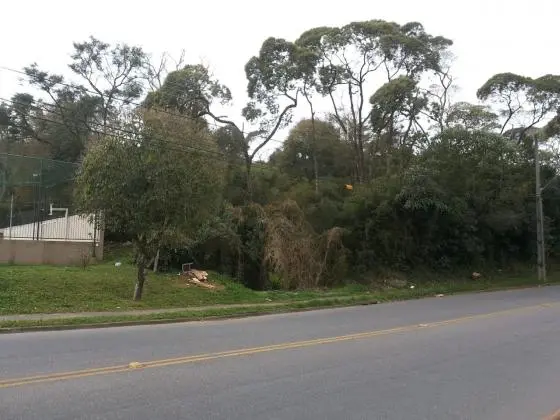 Terreno com mata nativa e ótimo potencial construtivo, para amantes da natureza!