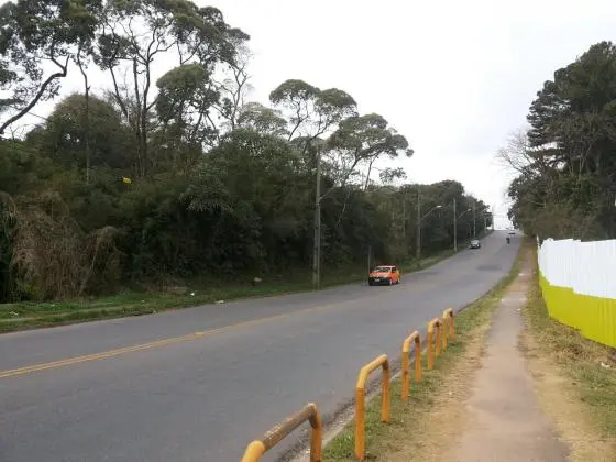 Terreno com mata nativa e ótimo potencial construtivo, para amantes da natureza!