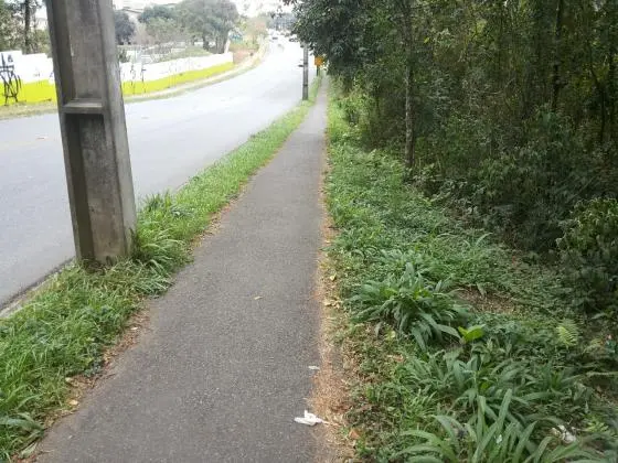 Terreno com mata nativa e ótimo potencial construtivo, para amantes da natureza!