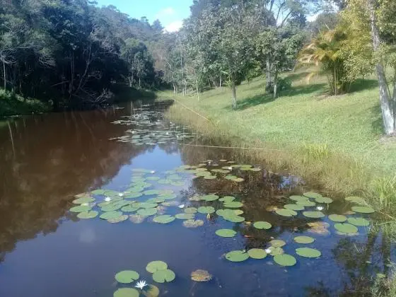 Sítio com lago e piscina