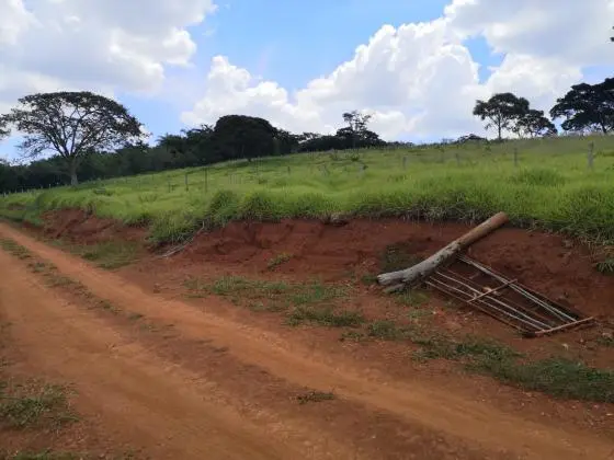 VENDE-SE SITIO MARIA FELICIA