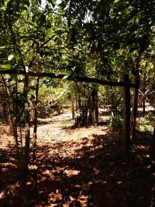 VENDE-SE SITIO MARIA FELICIA