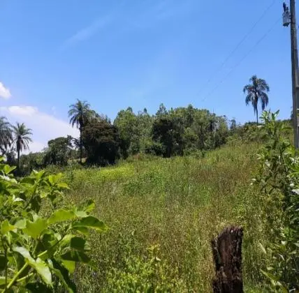 VENDE-SE SITIO MARIA FELICIA