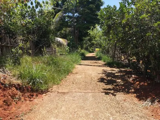VENDE-SE SITIO MARIA FELICIA