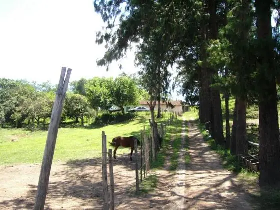 FERRA DE VASCONSELOS - SP
