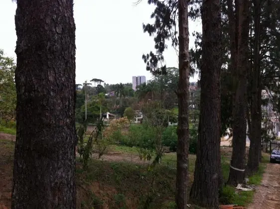FERRA DE VASCONSELOS - SP