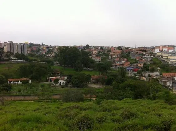 FERRA DE VASCONSELOS - SP
