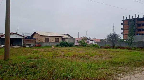 Lote com Escrituração IMEDIATA