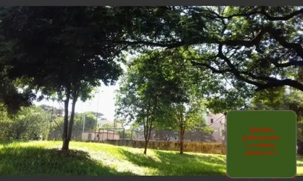 More junto a Natureza - No Centro - Apartamento de 2 dormitórios