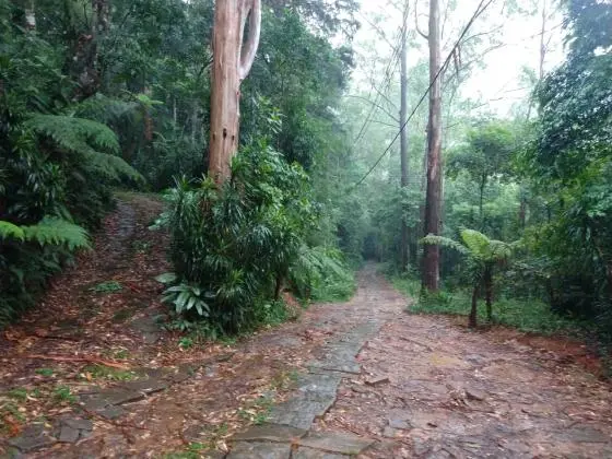 Sítios subida da Serra Petrópolis KM87