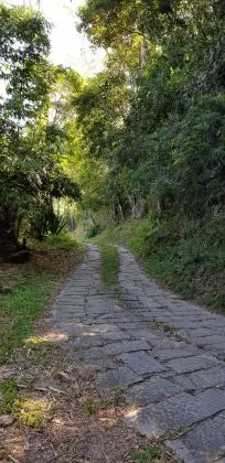 Sítios subida da Serra Petrópolis KM87