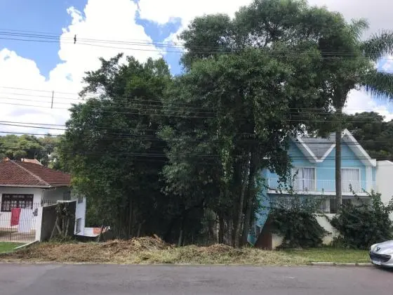 Terreno cercado de vegetação natural
