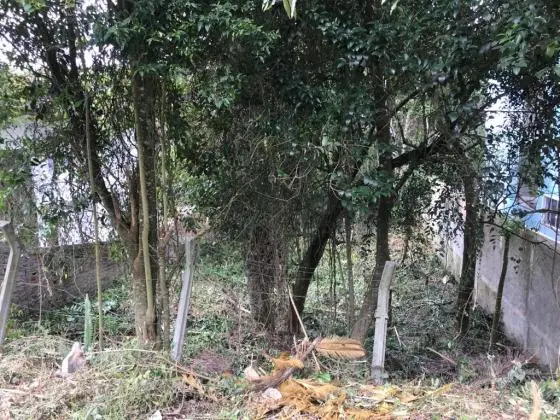 Terreno cercado de vegetação natural