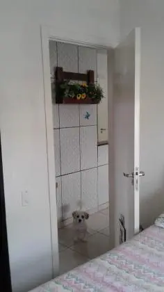 Vendo apartamento em Campo Grande - Cond. Rosa dos ventos