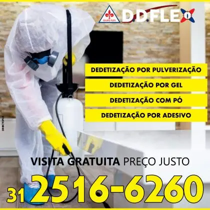 Dedetização de baratas em Belo horizonte